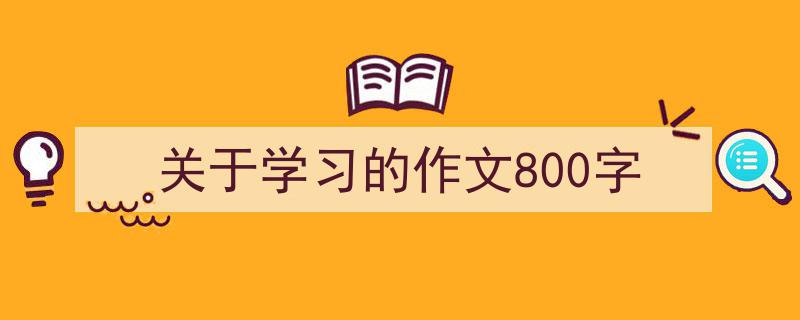 推荐关于学习的作文800字（精选5篇）"/